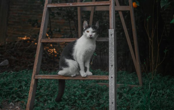 How Does Blockchain Technology Influence the UK's Digital Economy?